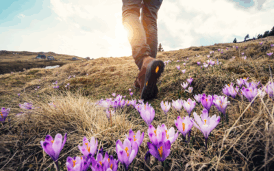 Pourquoi associer randonnée et jeûne ?