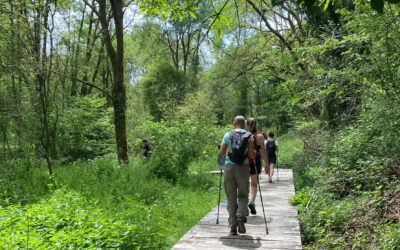 Jeûner : est-ce fait pour moi ? Tout ce qu’il faut savoir avant de se lancer